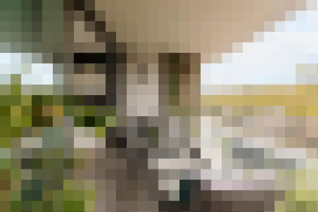 Groenmarktkade 34 Amsterdam thumbnail 9