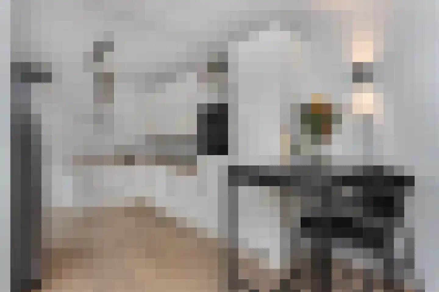 Groenmarktstraat 28 Utrecht thumbnail 9