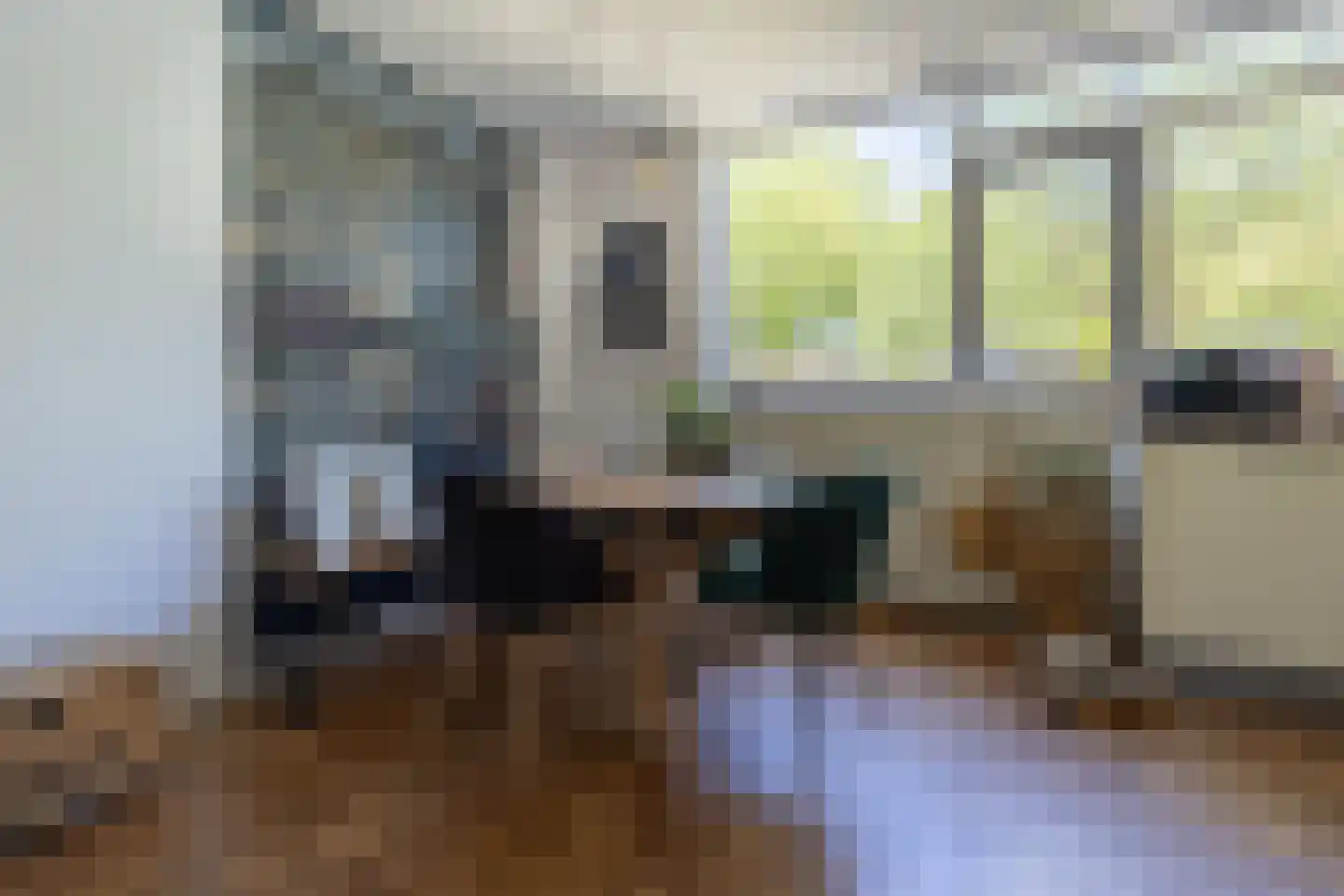 Groenoord 102 Alphen aan den Rijn thumbnail 6