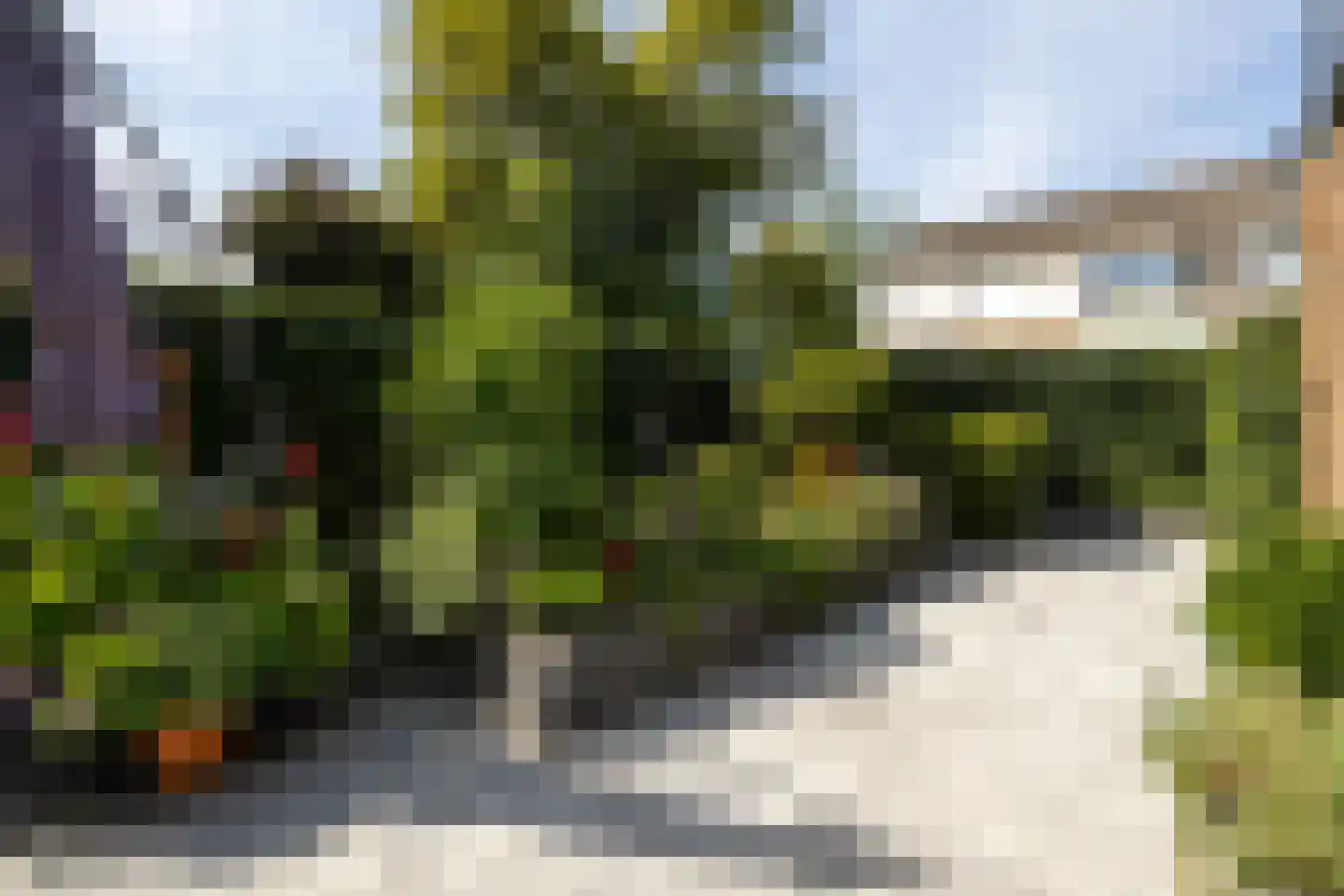 Groenoord 11 Alphen aan den Rijn thumbnail 33