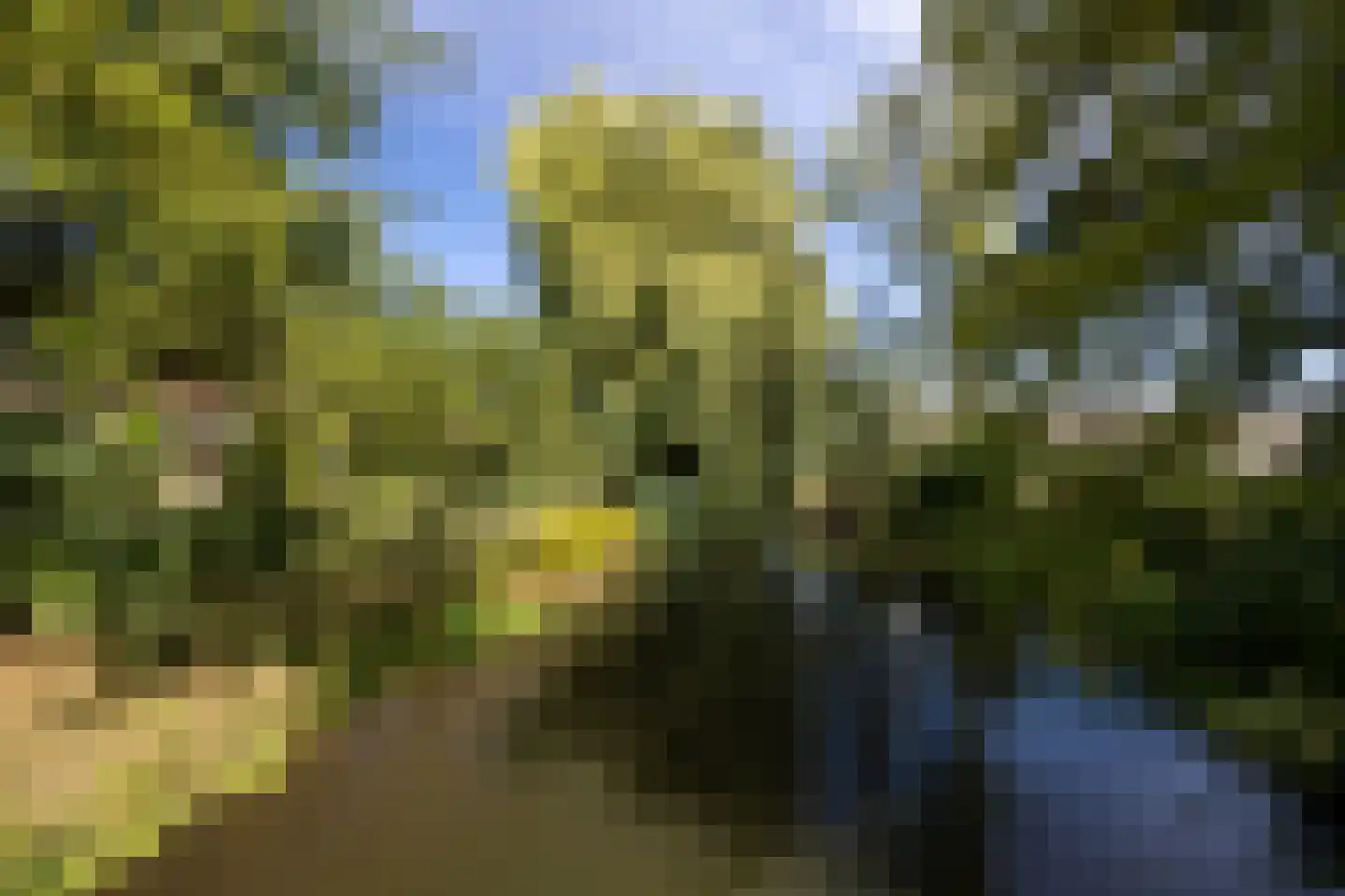 Groenoord 11 Alphen aan den Rijn thumbnail 37