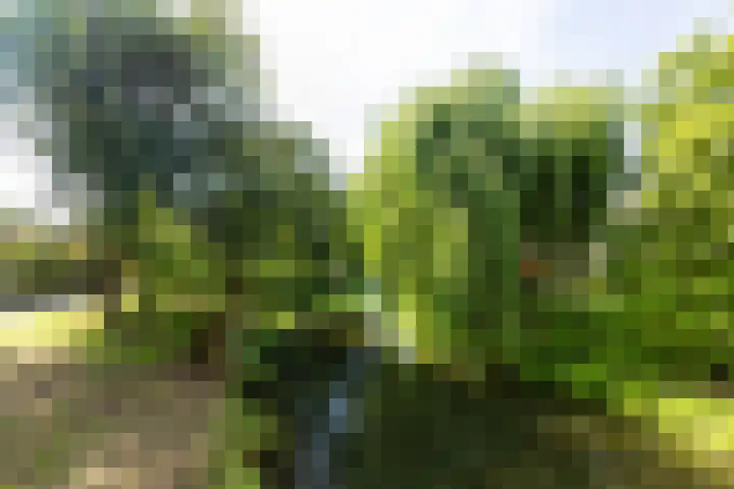 Groenoord 11 Alphen aan den Rijn thumbnail 38