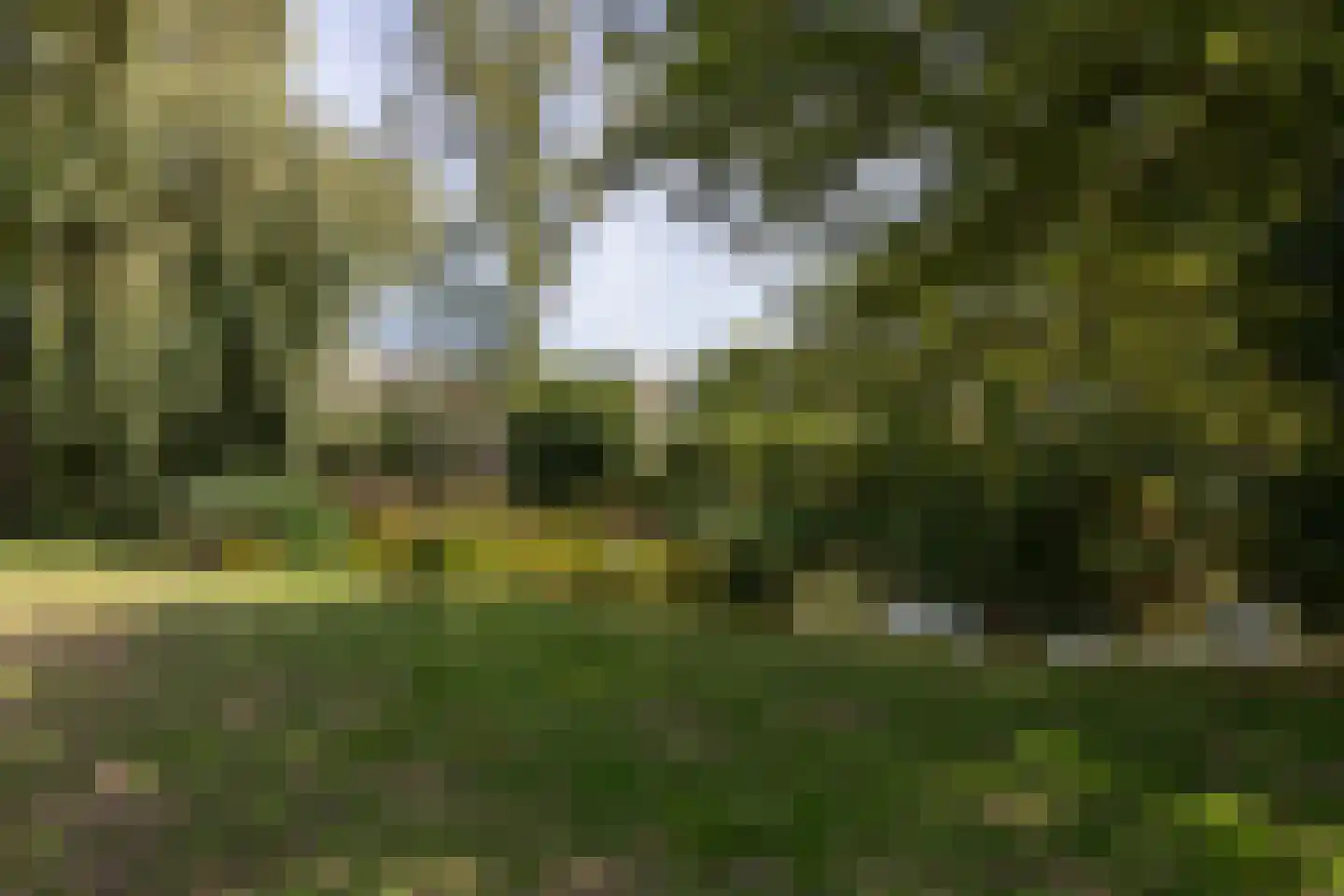 Groenoord 11 Alphen aan den Rijn thumbnail 42