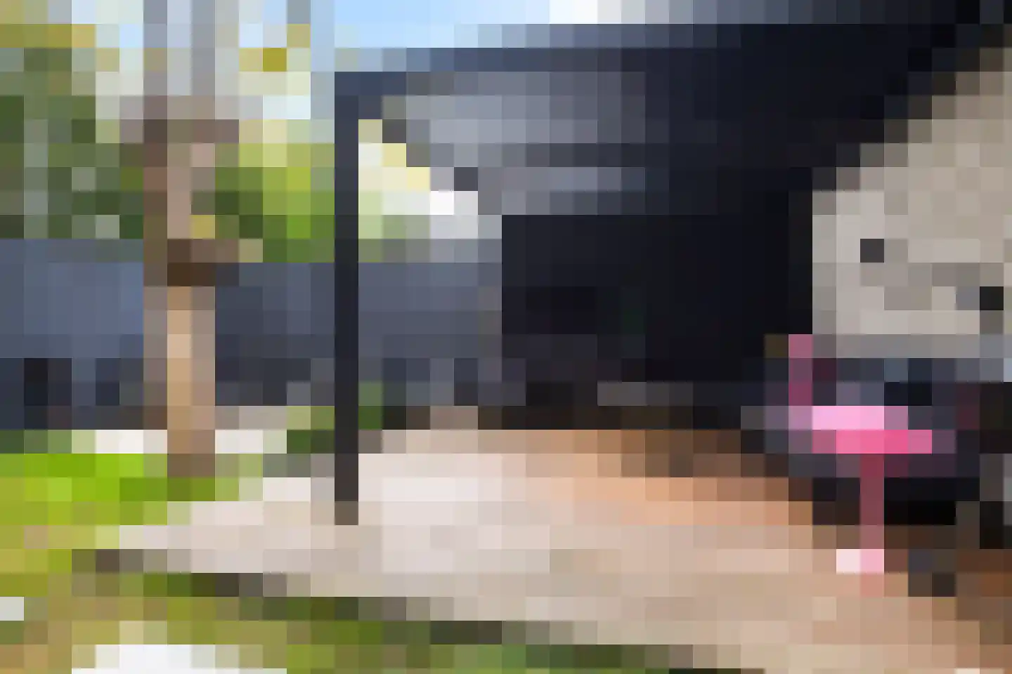 Groenoord 14 Alphen aan den Rijn thumbnail 27