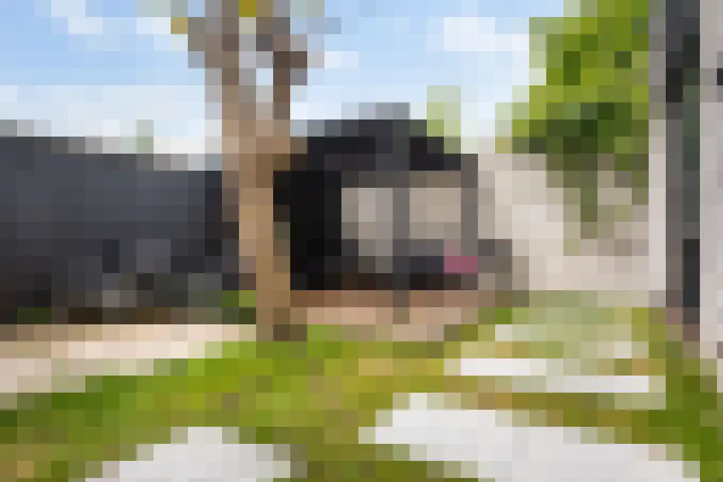 Groenoord 14 Alphen aan den Rijn thumbnail 29