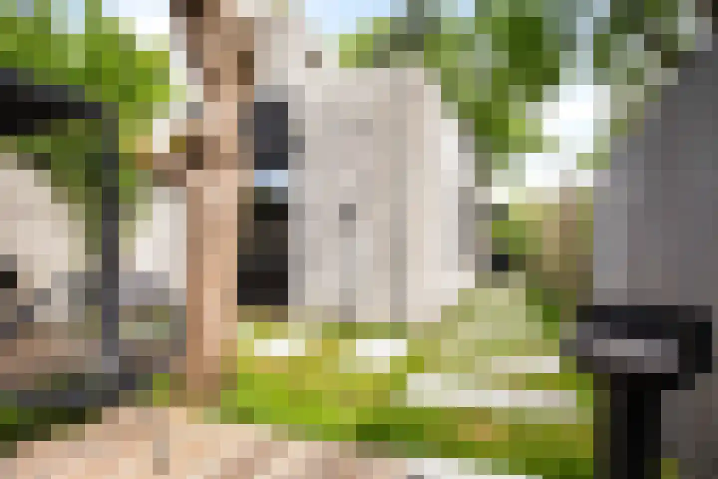 Groenoord 14 Alphen aan den Rijn thumbnail 30