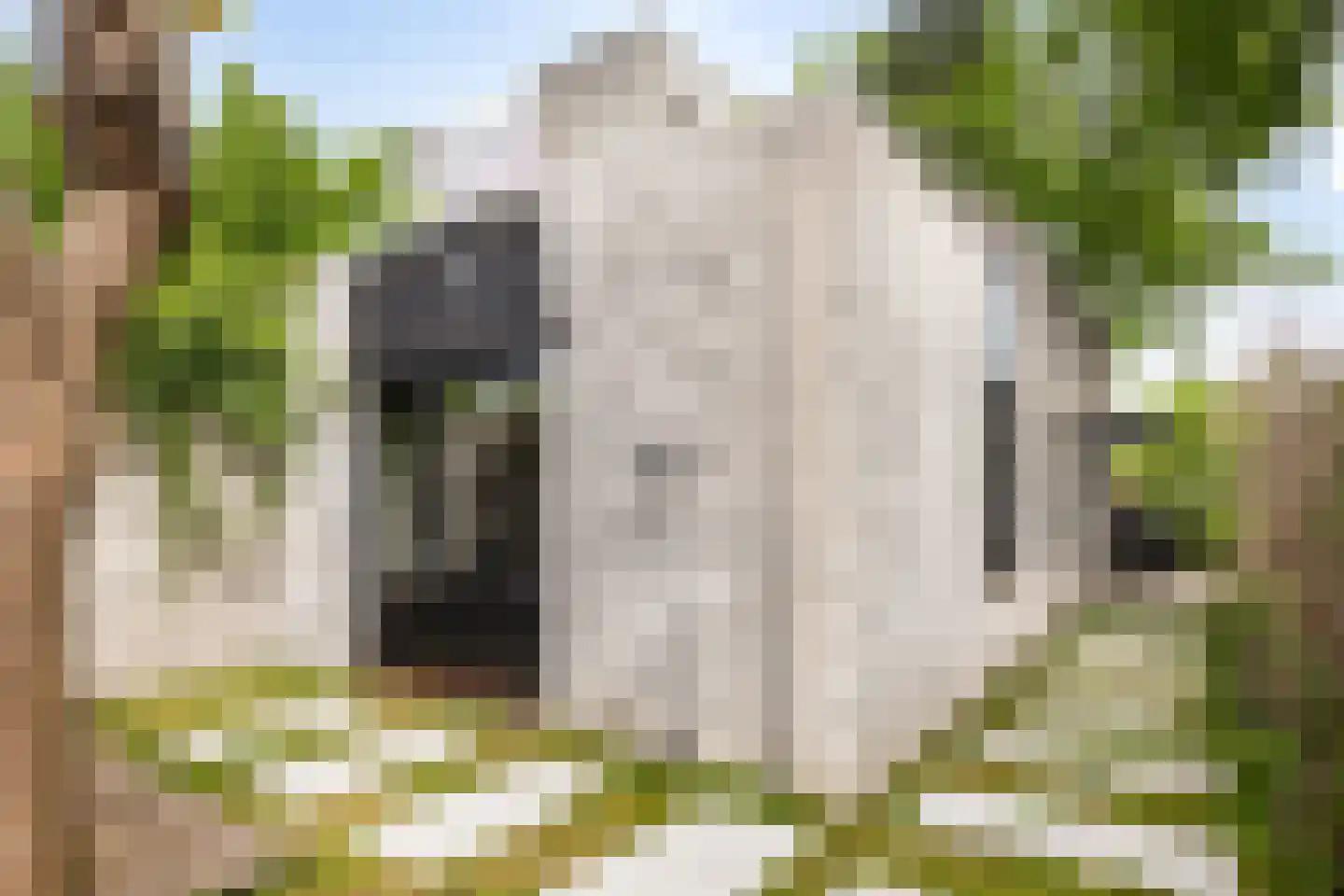 Groenoord 14 Alphen aan den Rijn thumbnail 31
