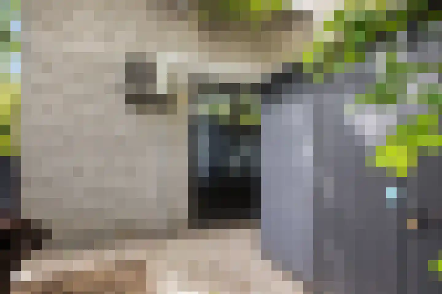 Groenoord 14 Alphen aan den Rijn thumbnail 33