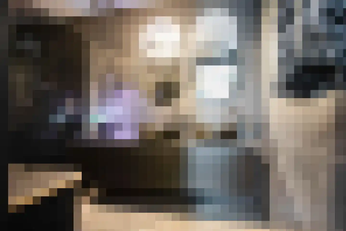 Groenoord 14 Alphen aan den Rijn thumbnail 4