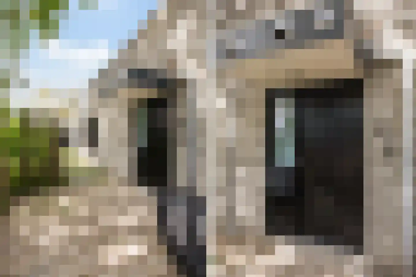 Groenoord 14 Alphen aan den Rijn thumbnail 7