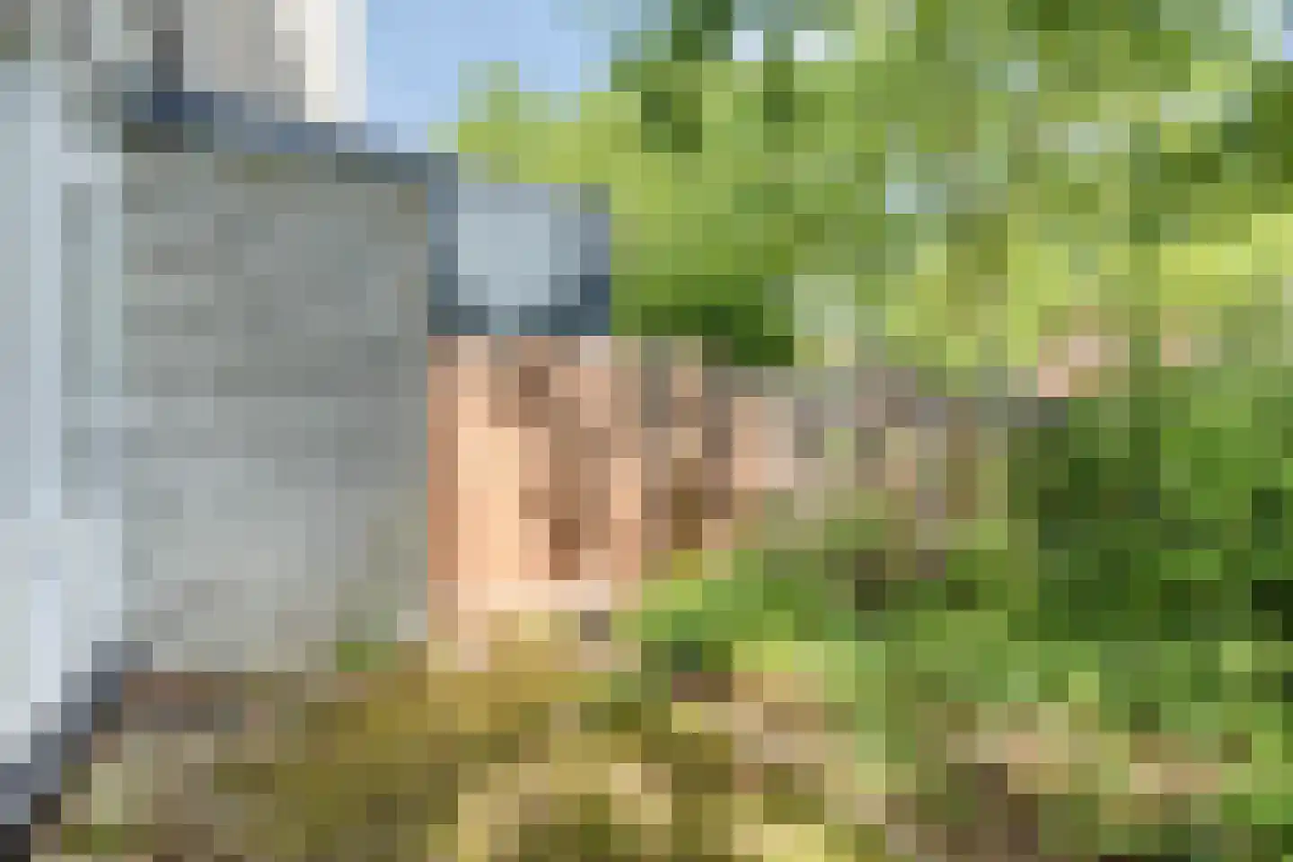 Groenoord 16 Alphen aan den Rijn thumbnail 21
