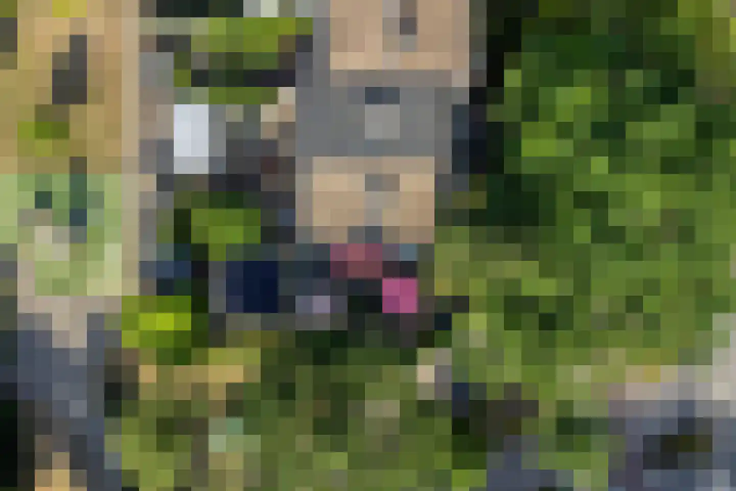 Groenoord 16 Alphen aan den Rijn thumbnail 46