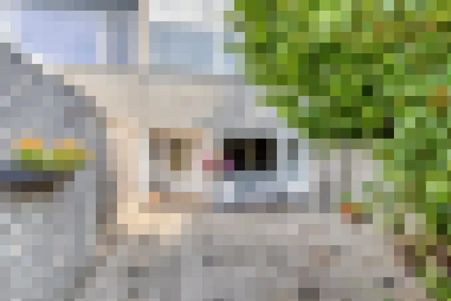 Groenoord 16 Alphen aan den Rijn thumbnail 7