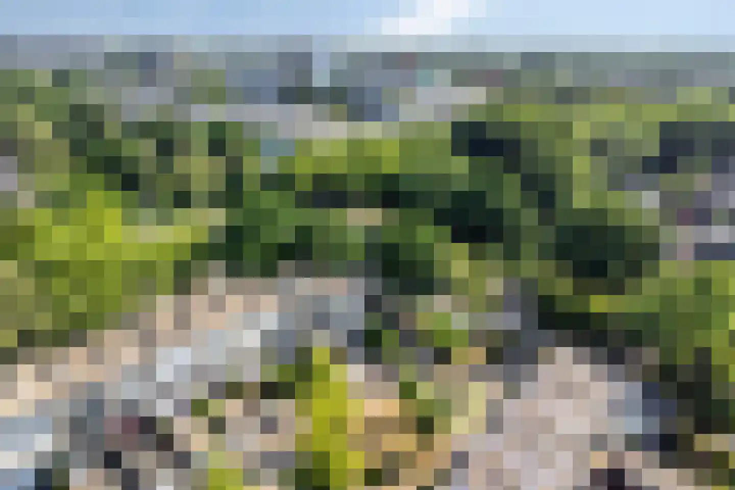 Groenoord 16 Alphen aan den Rijn thumbnail 8