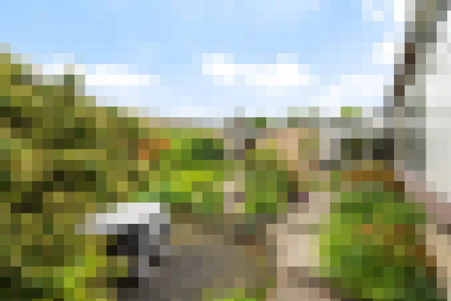 Groenoord 176 Alphen aan den Rijn thumbnail 33