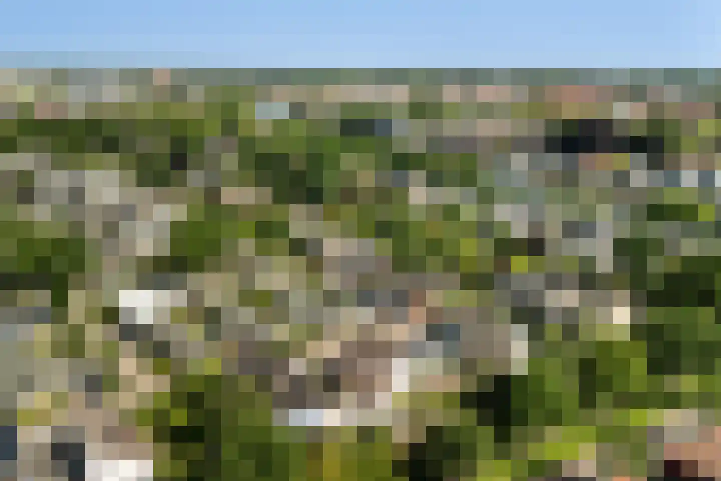 Groenoord 176 Alphen aan den Rijn thumbnail 4