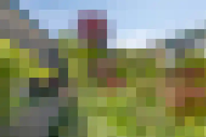Groenoord 180 Alphen aan den Rijn thumbnail 31