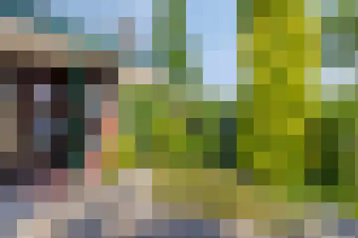 Groenoord 180 Alphen aan den Rijn thumbnail 32