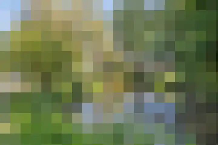 Groenoord 180 Alphen aan den Rijn thumbnail 35