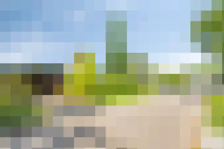 Groenoord 180 Alphen aan den Rijn thumbnail 6
