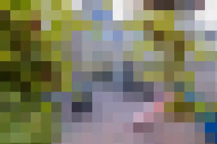 Groenoord 199 Alphen aan den Rijn thumbnail 36
