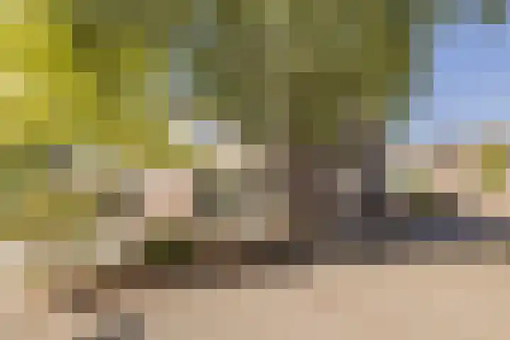 Groenoord 199 Alphen aan den Rijn thumbnail 39