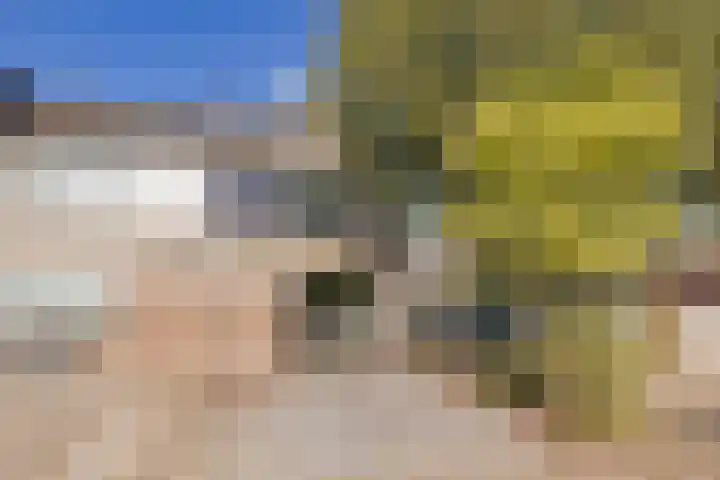Groenoord 199 Alphen aan den Rijn thumbnail 42