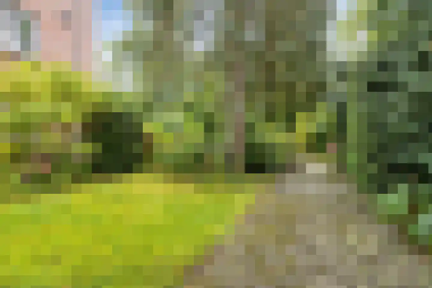 Groenoord 212 Alphen aan den Rijn thumbnail 30