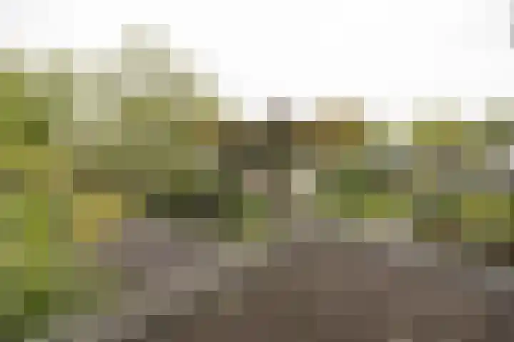 Groenoord 245 Alphen aan den Rijn thumbnail 16