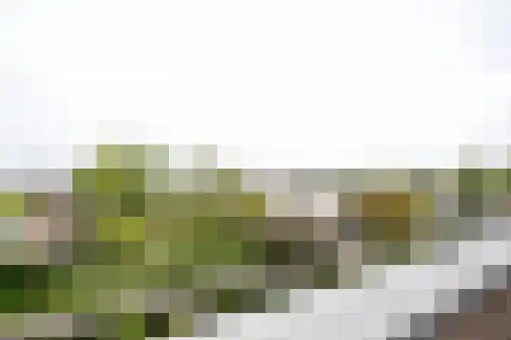 Groenoord 245 Alphen aan den Rijn thumbnail 17