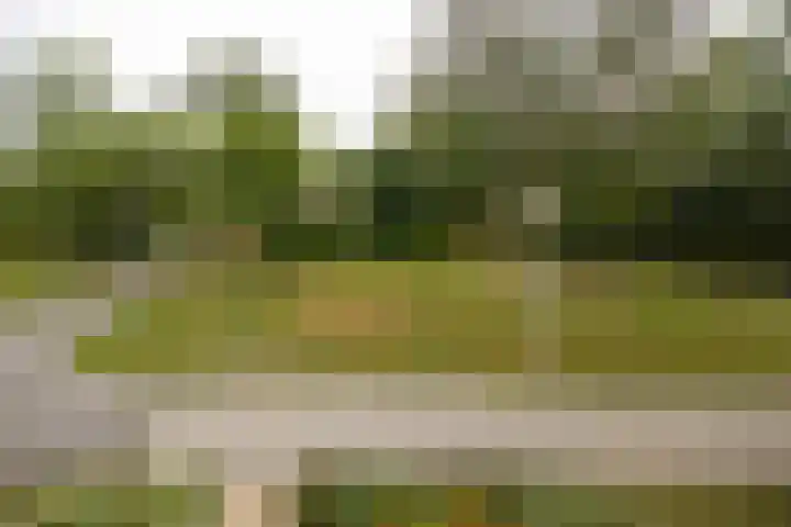 Groenoord 245 Alphen aan den Rijn thumbnail 20