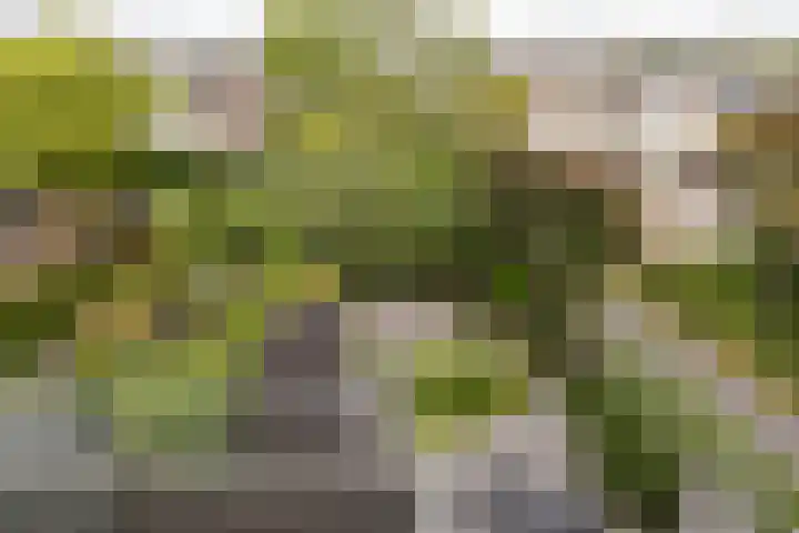 Groenoord 245 Alphen aan den Rijn thumbnail 29