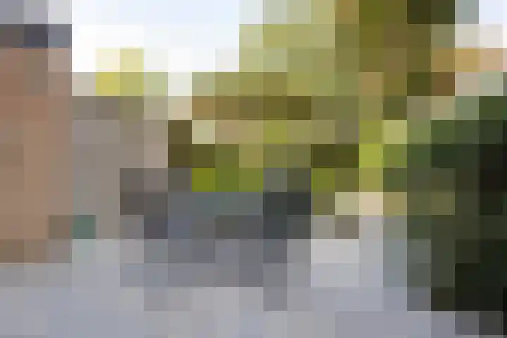 Groenoord 245 Alphen aan den Rijn thumbnail 30