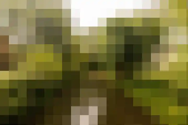 Groenoord 245 Alphen aan den Rijn thumbnail 31