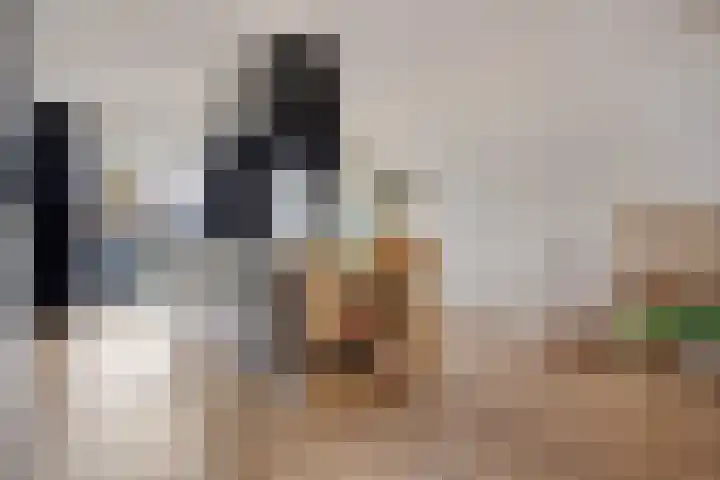 Groenoord 28 Sluiskil thumbnail 10