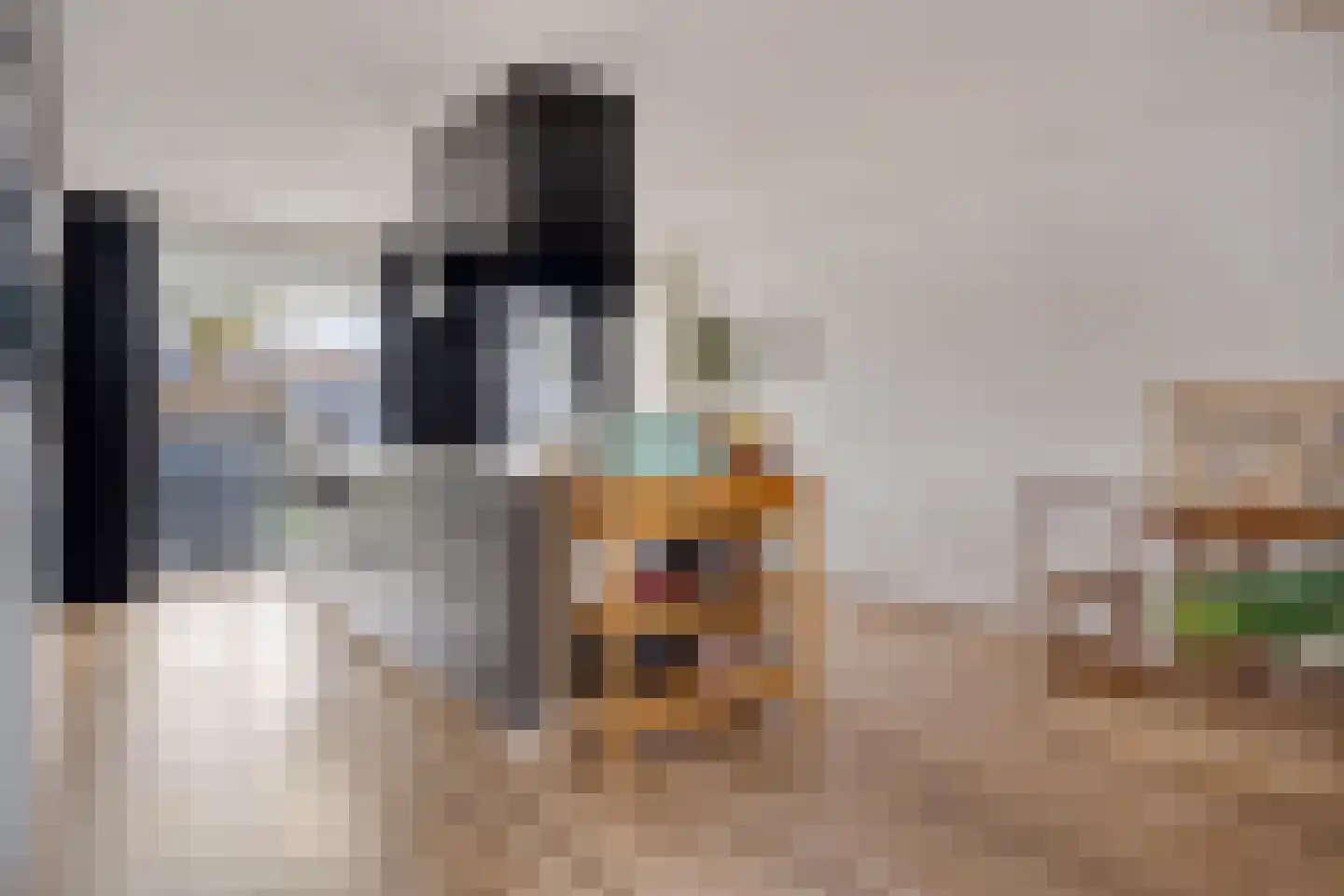 Groenoord 28 Sluiskil thumbnail 10