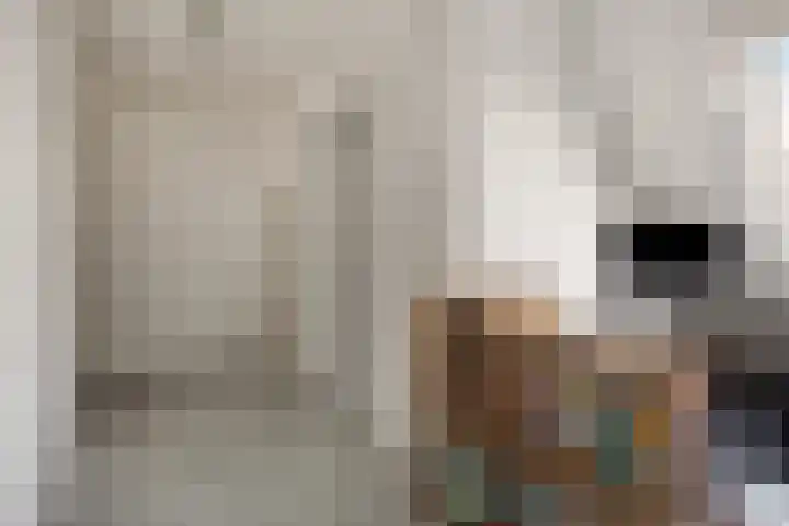 Groenoord 28 Sluiskil thumbnail 17