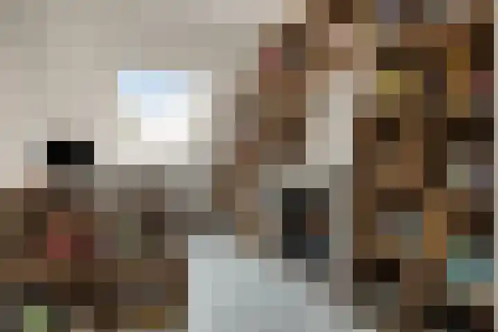 Groenoord 28 Sluiskil thumbnail 18