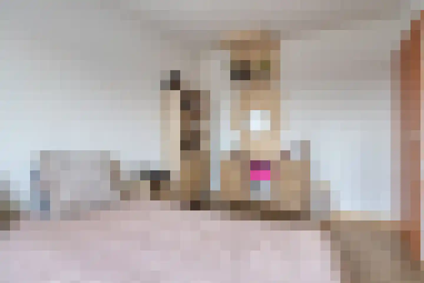 Groenoord 28 Sluiskil thumbnail 20
