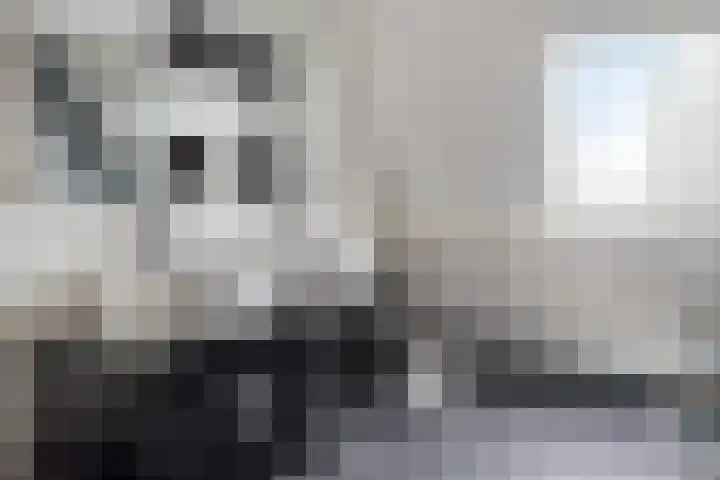 Groenoord 28 Sluiskil thumbnail 27