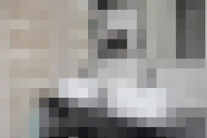 Groenoord 28 Sluiskil thumbnail 29