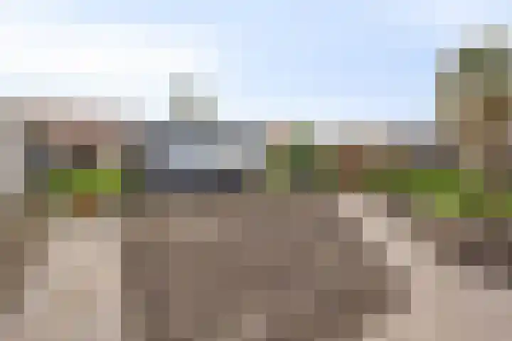 Groenoord 28 Sluiskil thumbnail 33