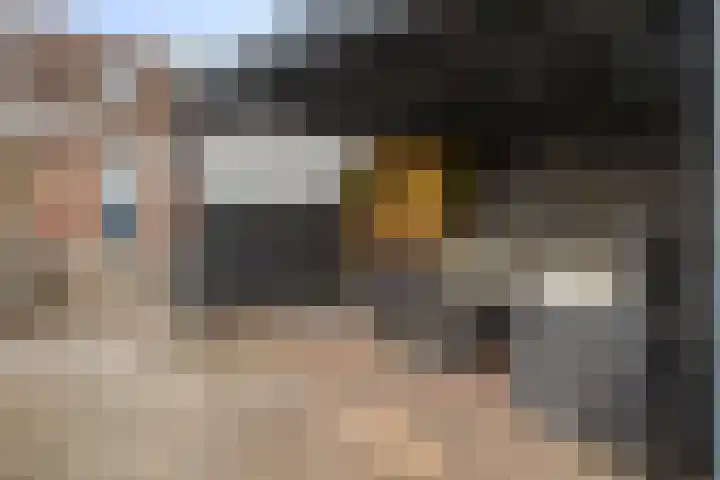 Groenoord 28 Sluiskil thumbnail 34