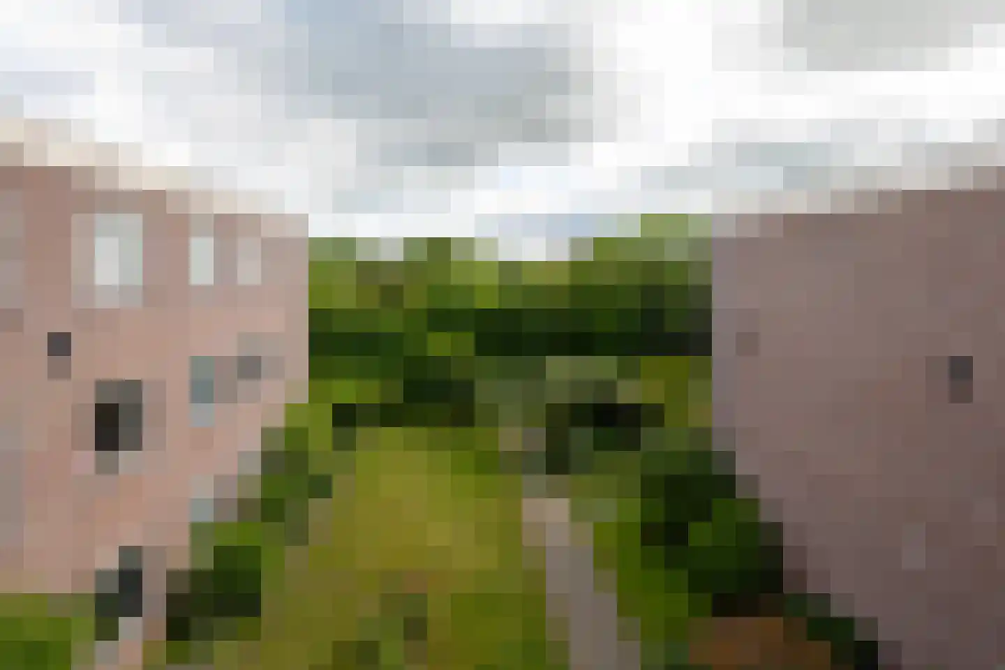 Groenoord 302 Alphen aan den Rijn thumbnail 15