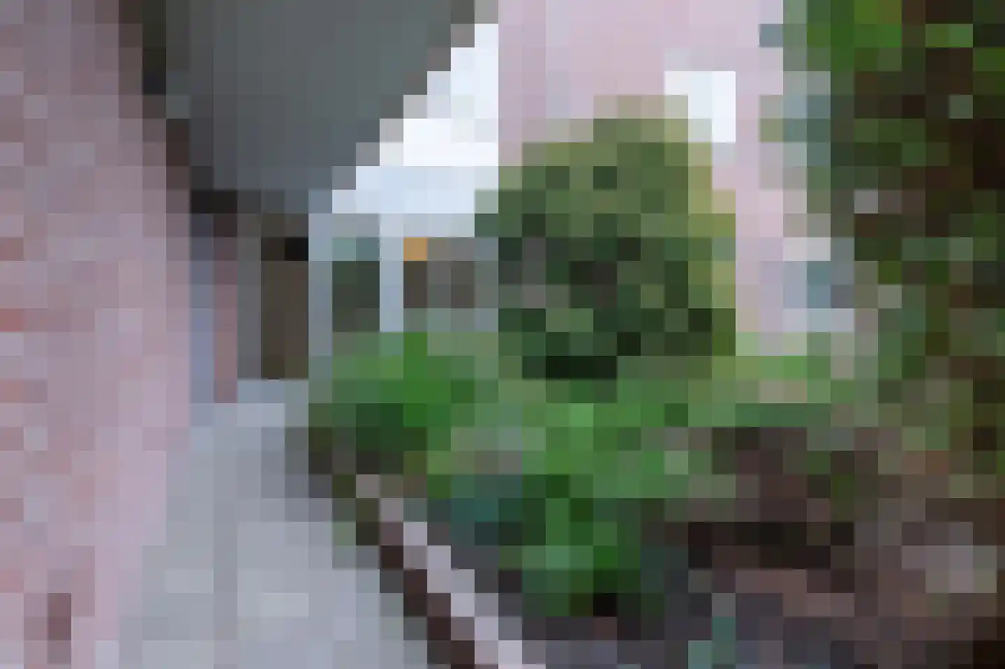 Groenoord 318 Alphen aan den Rijn thumbnail 17