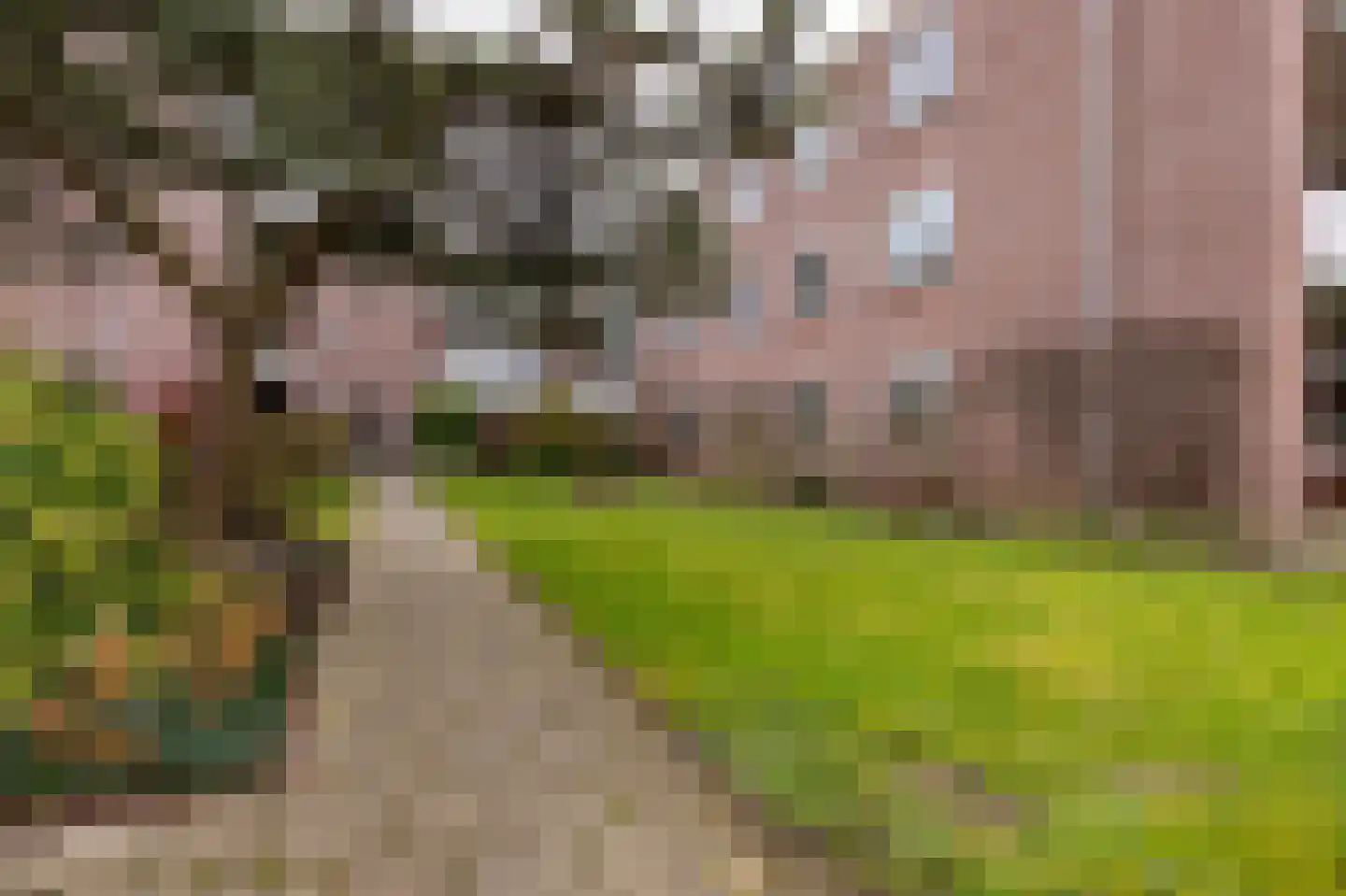 Groenoord 318 Alphen aan den Rijn thumbnail 18