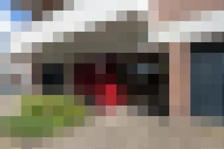 Groenoord 322 Alphen aan den Rijn thumbnail 18