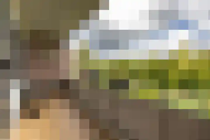 Groenoord 322 Alphen aan den Rijn thumbnail 5