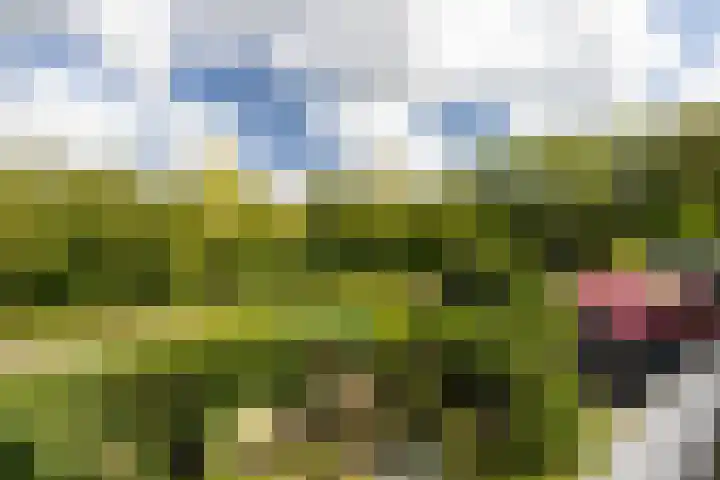 Groenoord 322 Alphen aan den Rijn thumbnail 6