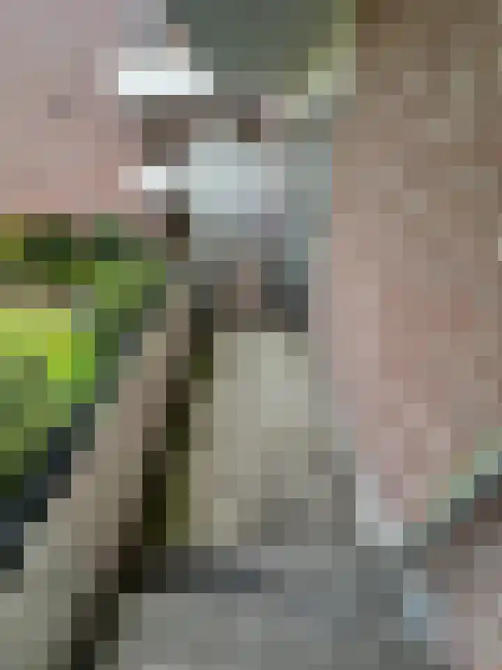 Groenoord 350 Alphen aan den Rijn thumbnail 9